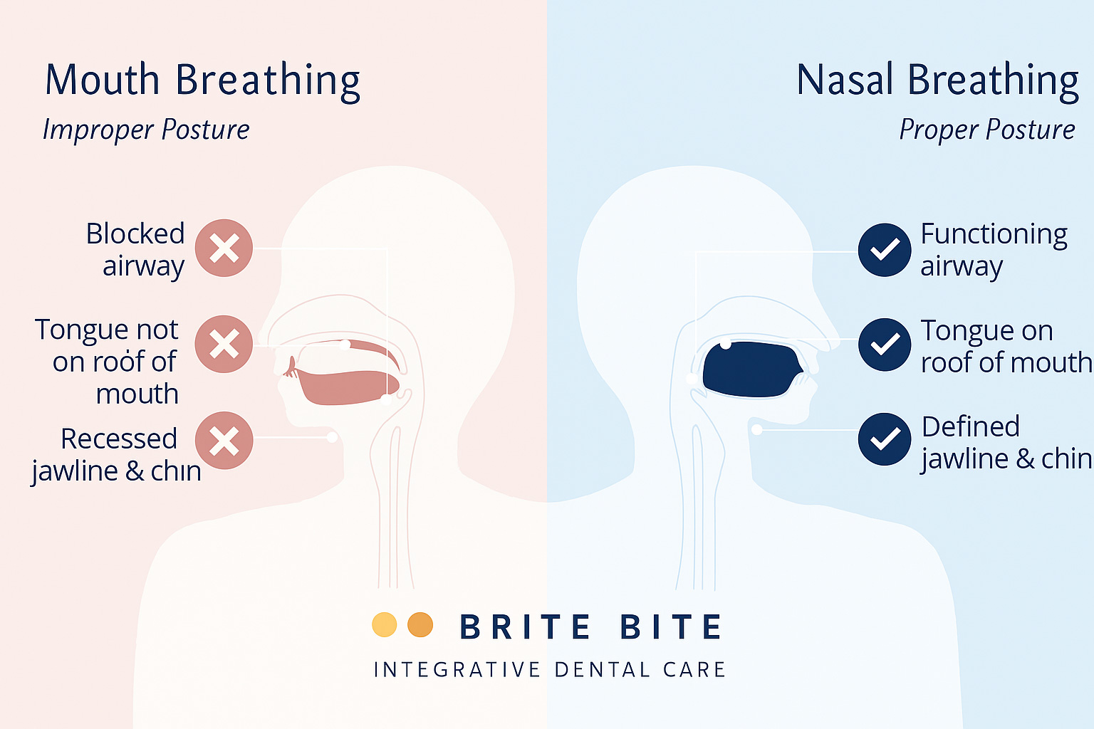 Medical infographic by Brite Bite Integrative Dental Care comparing mouth breathing and nasal 
breathing in children, showing differences in airway function, tongue posture, and jaw development